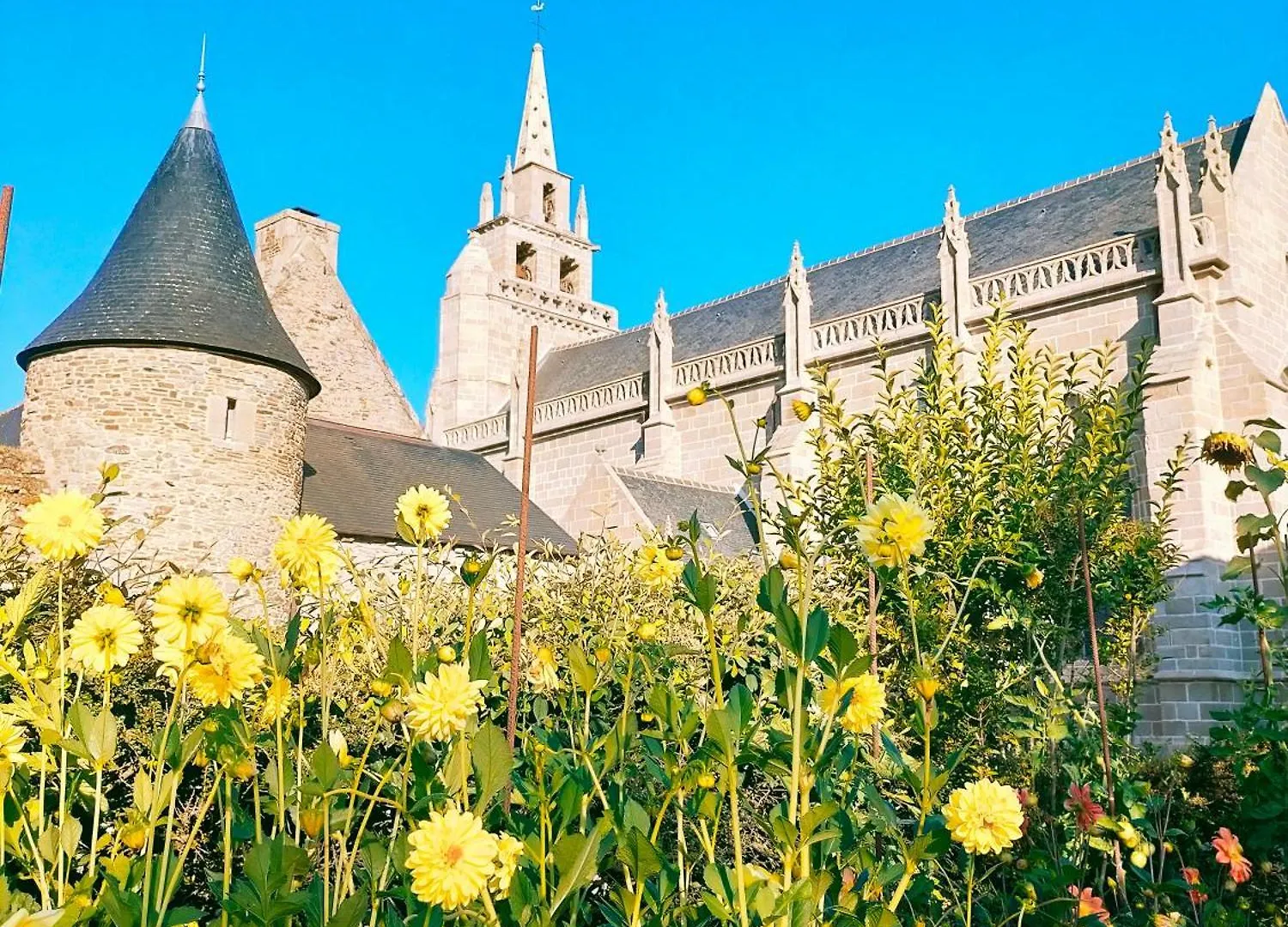 Bnb La Neo Bretonne Minihy-Tréguier Francja